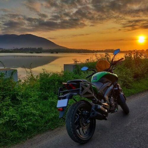 Adventour Saddle Stays Dominar 250  400 All Years