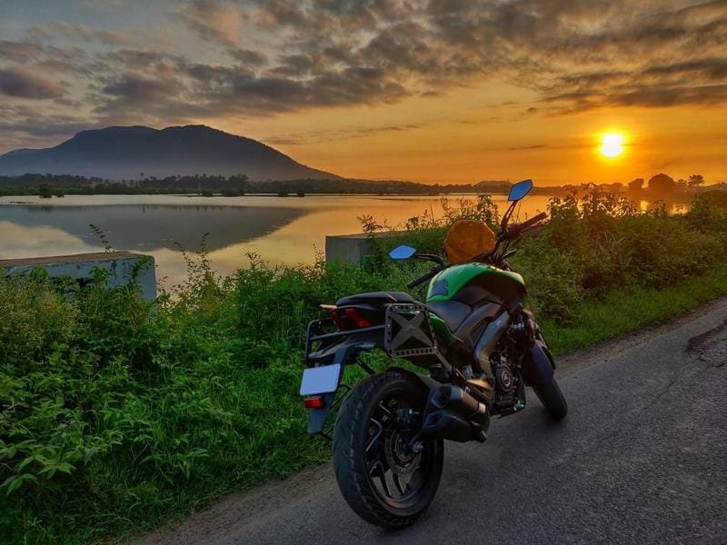 Adventour Saddle Stays Dominar 250  400 All Years