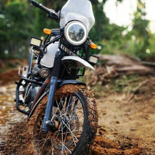 Maddog Headlight Fr70W